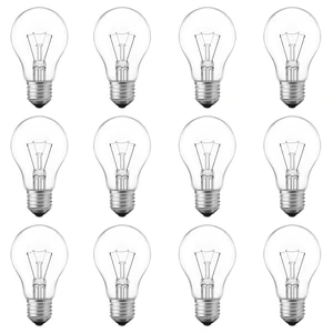 75 Watt Incandescent Light Bulbs, A19 Incandescent Bulb 60+ watts, Shatter-Resistant and Durable, Warm White Light (12-Pack) 75 Watt Incandescent Light Bulbs, A19 Incandescent Bulb 60+ watts, Shatter-Resistant and Durable, Warm White Light (12-Pack)