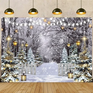 Winter Wonderland Backdrop 10x8FT Winter Snowflake Christmas Tree Forest Scene Photography Background Snowy Xmas Party Decorations Supplies Photo Props Winter Wonderland Backdrop 10x8FT Winter Snowflake Christmas Tree Forest Scene Photography Background Snowy Xmas Party Decorations Supplies Photo Props