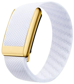 Premium Nylon Sport Band Compatible with WHOOP 4.0, Adjustable Stretch Wrist Strap for WHOOP Fitness TrackerBreathable, Durable & Secure Fit Strap with Metal Buckle Premium Nylon Sport Band Compatible with WHOOP 4.0, Adjustable Stretch Wrist Strap for WHOOP Fitness TrackerBreathable, Durable & Secure Fit Strap with Metal Buckle