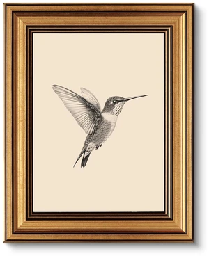 Vintage Gold Framed Wall Art Hummingbird Sketch, 8x10 IN | Cute yet exquisite, Affordable & High quality, Bathroom wall decor Vintage Gold Framed Wall Art Hummingbird Sketch, 8x10 IN | Cute yet exquisite, Affordable & High quality, Bathroom wall decor