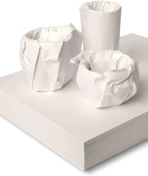 12x12 Inch Packing Paper 100 Sheets for Protecting Fragile China and Glasses, Small Wrapping Paper for Shipping and Moving Box Filler 12x12 Inch Packing Paper 100 Sheets for Protecting Fragile China and Glasses, Small Wrapping Paper for Shipping and Moving Box Filler