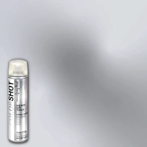COLORSHOT Heads or Tails Metallic Spray Paint, Silver, 8 oz, Fast-Drying Acrylic Paint, Indoor & Outdoor Use COLORSHOT Heads or Tails Metallic Spray Paint, Silver, 8 oz, Fast-Drying Acrylic Paint, Indoor & Outdoor Use