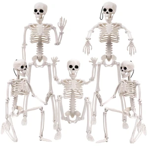 XIMISHOP 5pcs Halloween Skeleton Decoration, 16Full Body Posable Skeleton XIMISHOP 5pcs Halloween Skeleton Decoration, 16Full Body Posable Skeleton