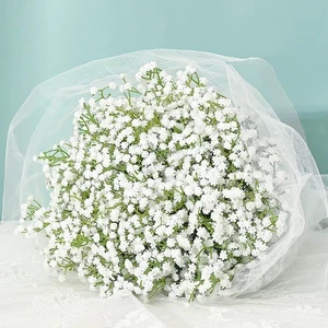 10 PCS White Artificial Baby Breath Flowers | Baby Breath Flowers Artificial Bulk Real Touch Faux Babys Breath Fake Babys Breath Gypsophila for Wedding Floral Arrangement 10 PCS White Artificial Baby Breath Flowers | Baby Breath Flowers Artificial Bulk Real Touch Faux Babys Breath Fake Babys Breath Gypsophila for Wedding Floral Arrangement