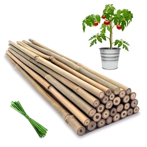 Plant Stakes,18IN Natural Garden Bamboo Sticks, 20Pcs Plant Support Stakes | with 20Pcs Green Ties, Bamboo Sticks for Plants,Garden Stakes for Plants,Tomatoes, Beans, Vegetable and Potted Plants Plant Stakes,18IN Natural Garden Bamboo Sticks, 20Pcs Plant Support Stakes | with 20Pcs Green Ties, Bamboo Sticks for Plants,Garden Stakes for Plants,Tomatoes, Beans, Vegetable and Potted Plants