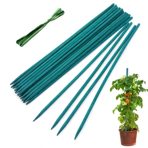 Plant Stakes 25Pcs,18IN Green Bamboo Sticks With25 Green Ties,Orchid Sticks | Sturdy Garden Stakes for Plants, Floral Plant Support Stakes, Bamboo Sticks for Plants,Potted Plant Plant Stakes 25Pcs,18IN Green Bamboo Sticks With25 Green Ties,Orchid Sticks | Sturdy Garden Stakes for Plants, Floral Plant Support Stakes, Bamboo Sticks for Plants,Potted Plant