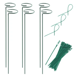Plant Stake Support - 6 Pack, Garden Single Stem Support Stake 15.9 inch | Plant Cage Support Rings, Single Stem Plant Support Stakes, Plant Twist Ties, for Flowers Amaryllis Tomatoes Peony Lily Rose Plant Stake Support - 6 Pack, Garden Single Stem Support Stake 15.9 inch | Plant Cage Support Rings, Single Stem Plant Support Stakes, Plant Twist Ties, for Flowers Amaryllis Tomatoes Peony Lily Rose
