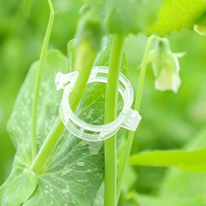 Secured Plastic Plant Clip, Plant Support Clips, Garden Clips for Climbing Plants, Plastic Trellis Clips Plant Support Clips Tomato Grape Vine Vegetables Plant Fixing Clips (100, White) Secured Plastic Plant Clip, Plant Support Clips, Garden Clips for Climbing Plants, Plastic Trellis Clips Plant Support Clips Tomato Grape Vine Vegetables Plant Fixing Clips (100, White)