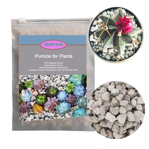 Horticultural Pumice for Plants, Natural Organic Pumice Stones for Succulent Cactus Bonsai Tree Orchid Potting Mixed, Improves Soil Aeration and Drainage, Promotes Root (2QT) Horticultural Pumice for Plants, Natural Organic Pumice Stones for Succulent Cactus Bonsai Tree Orchid Potting Mixed, Improves Soil Aeration and Drainage, Promotes Root (2QT)