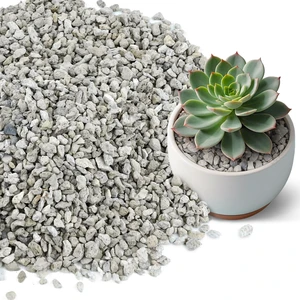 , Horticultural Pumice Stone for Plants - 1/4 Inch Lightweight Volcanic Rocks for Bonsai, Succulents & Cacti, Improves Soil Drainage & Aeration , Horticultural Pumice Stone for Plants - 1/4 Inch Lightweight Volcanic Rocks for Bonsai, Succulents & Cacti, Improves Soil Drainage & Aeration
