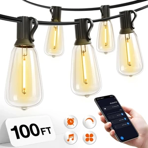 100FT Outdoor String Lights ST38 LED with APP Control Waterproof Dimmable Shatterproof Replaceable Bulbs, Connectable Hanging Strand for Porch Backyard Patio Garden Deck Outside 100FT Outdoor String Lights ST38 LED with APP Control Waterproof Dimmable Shatterproof Replaceable Bulbs, Connectable Hanging Strand for Porch Backyard Patio Garden Deck Outside