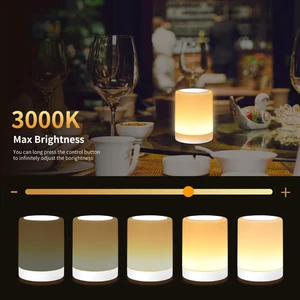 Touch Bedside Table Lamp,13 RGB Colors & 5 Brightness, USB Rechargeable Desk Lamp, Remote Control Dimmable Night Light with RGB Color Changing,Portable Lamp for Baby (2 Pack White) Touch Bedside Table Lamp,13 RGB Colors & 5 Brightness, USB Rechargeable Desk Lamp, Remote Control Dimmable Night Light with RGB Color Changing,Portable Lamp for Baby (2 Pack White)
