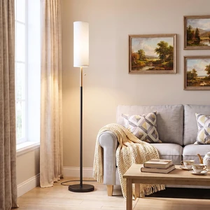 64" Floor Lamp with Bulb & Lampshade & Chain Switch, Black & Gold 3 Color Temperature,9W LED bulb,Minimalist Floor Lamp,Tall Pole Lamps,Living Room,Bedrooms,for Study,Office 64" Floor Lamp with Bulb & Lampshade & Chain Switch, Black & Gold 3 Color Temperature,9W LED bulb,Minimalist Floor Lamp,Tall Pole Lamps,Living Room,Bedrooms,for Study,Office