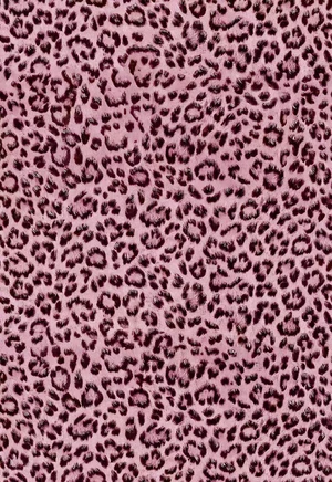 Leopard Print Peel and Stick Wallpaper, Waterproof Removable Self Adhesive Textured Wall Paper, Black and Pink Unique Funky Cheetah Contact Paper for Bedroom and Bathroom 120"X17.3"(14.4 sq. ft) Leopard Print Peel and Stick Wallpaper, Waterproof Removable Self Adhesive Textured Wall Paper, Black and Pink Unique Funky Cheetah Contact Paper for Bedroom and Bathroom 120"X17.3"(14.4 sq. ft)