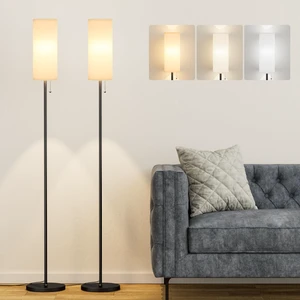 Floor Lamp with Bulb & Lampshade & Chain Switch Set of 2, White 3 Color Temperature,9W LED bulb,Minimalist Floor Lamp,Tall Pole Lamps,Set of 2,Living Room,Bedrooms,for Study Floor Lamp with Bulb & Lampshade & Chain Switch Set of 2, White 3 Color Temperature,9W LED bulb,Minimalist Floor Lamp,Tall Pole Lamps,Set of 2,Living Room,Bedrooms,for Study