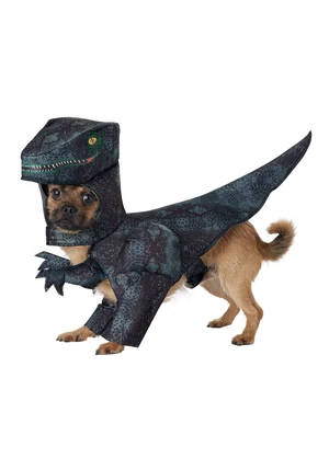 Pupasaurus Rex Dog Costumes Medium Pupasaurus Rex Dog Costumes Medium