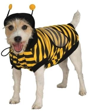 Rubies Bumble Bee Pet Costume for Dogs or Cats, XL Rubies Bumble Bee Pet Costume for Dogs or Cats, XL