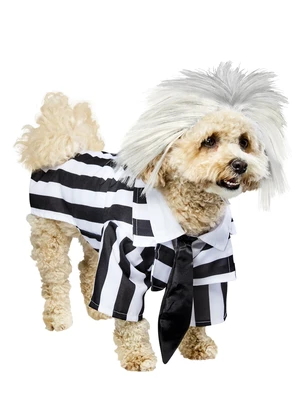 Beetlejuice: Beetlejuice Pet Costume for For Dogs or Cats by Rubies, XL Beetlejuice: Beetlejuice Pet Costume for For Dogs or Cats by Rubies, XL