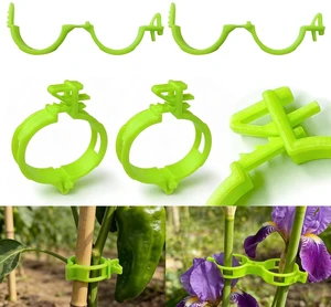 150 Pcs Plant Support Clips,Tomato Clips for Climbing Plants/String Trellis,with 3 Adjustable Ties for Gardening,Outdoor Vine Clips,Garden Clips for Plants Grape and Vine Vegetables Bright Green 150 Pcs Plant Support Clips,Tomato Clips for Climbing Plants/String Trellis,with 3 Adjustable Ties for Gardening,Outdoor Vine Clips,Garden Clips for Plants Grape and Vine Vegetables Bright Green