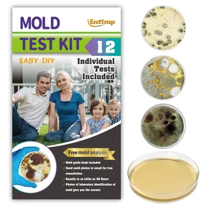 Mold Test Kit for Home Within 12 Individual Tests,DIY Detector at Home, Surface Mold,HVAC,Indoor Air Quality Testing Kits,Black Mold Testing,Includes Detailed Mold Identification Guide and Free Lab Mold Test Kit for Home Within 12 Individual Tests,DIY Detector at Home, Surface Mold,HVAC,Indoor Air Quality Testing Kits,Black Mold Testing,Includes Detailed Mold Identification Guide and Free Lab