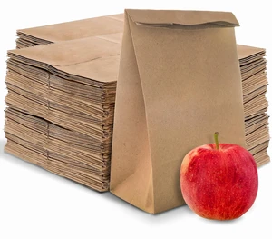4 Lb Kraft Brown Paper Lunch Bags (500 Count) - Bulk Disposable Lunch Sacks, Small Size Blank Bag for Kids, Good for a Snack, Sandwich, Grocery Food, and Arts & Crafts Projects 4 Lb Kraft Brown Paper Lunch Bags (500 Count) - Bulk Disposable Lunch Sacks, Small Size Blank Bag for Kids, Good for a Snack, Sandwich, Grocery Food, and Arts & Crafts Projects