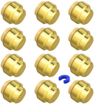 12 Pack 1/2" Pushfit End Cap Fittings with Disconnect Clip for Copper, PEX, CPVC Pipe 12 Pack 1/2" Pushfit End Cap Fittings with Disconnect Clip for Copper, PEX, CPVC Pipe