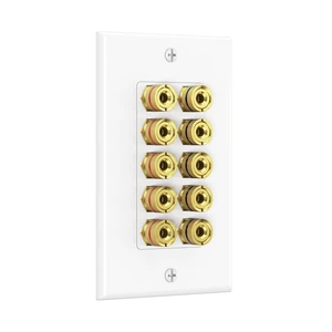 Speaker Wire Wall Plate, 10 Posts for 5 Speakers, White Gold-Plated Binding Posts, Banana Plug Compatible, for Home Theater Wiring, Low-Voltage Installation Speaker Wire Wall Plate, 10 Posts for 5 Speakers, White Gold-Plated Binding Posts, Banana Plug Compatible, for Home Theater Wiring, Low-Voltage Installation