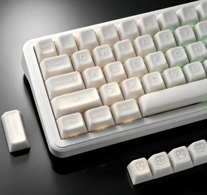Double Shot PBT keycaps Set, SA Profile Keyboard Keycap | Jade style key caps full size,Custom keycaps for 60% 65% 75% 100% MX switch Mechanical KeyboardWhite) Double Shot PBT keycaps Set, SA Profile Keyboard Keycap | Jade style key caps full size,Custom keycaps for 60% 65% 75% 100% MX switch Mechanical KeyboardWhite)