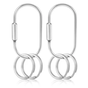 2 Pack Carabiner Clip, Screw Lock Key Organizer with 4 Keyrings, Carabiner Keychain Key Ring for Purse Bag Charms Car Keys Dog Leash Pet Tags Tags Accessories (Silver) 2 Pack Carabiner Clip, Screw Lock Key Organizer with 4 Keyrings, Carabiner Keychain Key Ring for Purse Bag Charms Car Keys Dog Leash Pet Tags Tags Accessories (Silver)