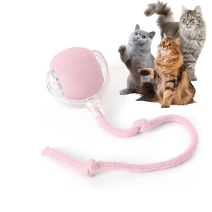 Durable Interactive Cat Toys for Indoor Cats (Pink, 01) | Smart Automatic Cat Chase Ball Toy, Upgraded Speedy Tail Kitten Toy for Bored Indoor Adult Pets Durable Interactive Cat Toys for Indoor Cats (Pink, 01) | Smart Automatic Cat Chase Ball Toy, Upgraded Speedy Tail Kitten Toy for Bored Indoor Adult Pets