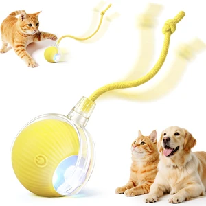Interactive Automatic Rolling Electronic Stimulation Chase Ball Cat Dog Toy Interactive Automatic Rolling Electronic Stimulation Chase Ball Cat Dog Toy