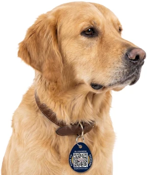 Privacy Smart Dog Tag | Custom QR Code Tags, Navy, 1-Pack | Protect Personal Info & Pets | Round Acrylic Customizable Pet Tags | Scan Alerts & Secure Messaging | No Subscription Fee Privacy Smart Dog Tag | Custom QR Code Tags, Navy, 1-Pack | Protect Personal Info & Pets | Round Acrylic Customizable Pet Tags | Scan Alerts & Secure Messaging | No Subscription Fee