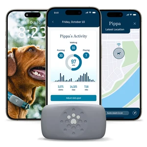 Dog GPS Tracker Collar, Activity and Real Time Tracking | Find your dog faster with live GPS tracking, activity insights, and up to 30-day battery life Dog GPS Tracker Collar, Activity and Real Time Tracking | Find your dog faster with live GPS tracking, activity insights, and up to 30-day battery life