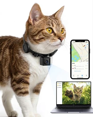 Cat Camera Collar with Tracker Tag, 1080P HD Pet POV Action Cam, No WiFi No App One-Click Video Recorder for Cats & Small Dogs Lightweight 0.7oz, Night Vision,Laptop Playback Cat Camera Collar with Tracker Tag, 1080P HD Pet POV Action Cam, No WiFi No App One-Click Video Recorder for Cats & Small Dogs Lightweight 0.7oz, Night Vision,Laptop Playback