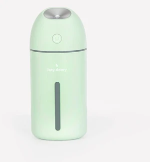 Wireless Portable Facial Humidifier for Skin Hydration, Rechargeable Mini Cool Mist Humidifier for Travel, Desk & Bedside, 8-Hour Runtime (Sage) Wireless Portable Facial Humidifier for Skin Hydration, Rechargeable Mini Cool Mist Humidifier for Travel, Desk & Bedside, 8-Hour Runtime (Sage)