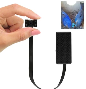 WiFi Bird Box Camera Hidden Camera, 4K HD Snapshot 2K Video, Designed for Birdhouse birdhouses, for Robins Wrens Tree Swallows, Live Video to Phone, Easy Install, Night Mode, microSD Card Slot WiFi Bird Box Camera Hidden Camera, 4K HD Snapshot 2K Video, Designed for Birdhouse birdhouses, for Robins Wrens Tree Swallows, Live Video to Phone, Easy Install, Night Mode, microSD Card Slot