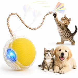 Interactive Cat Toy Ball with LED Lights USB-C Rechargeable Automatic Cat Toy with Feather Tail for Indoor Cats & Kittens, Upgraded Version Interactive Cat Toy Ball with LED Lights USB-C Rechargeable Automatic Cat Toy with Feather Tail for Indoor Cats & Kittens, Upgraded Version