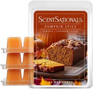 Pumpkin Spice Scented Wax Melts - Pumpkin, Cinnamon, & Clove, 10oz (24 Cubes) Pumpkin Spice Scented Wax Melts - Pumpkin, Cinnamon, & Clove, 10oz (24 Cubes)