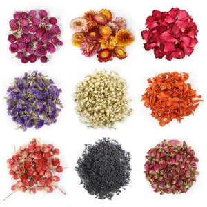9 Bags Dried Flowers,100% Natural Dried Flowers Herbs Kit for Soap Making, DIY Candle Making,Bath - Include Rose Petals,Lavender,Don't Forget Me,Lilium,Jasmine,Rosebudsand More 9 Bags Dried Flowers,100% Natural Dried Flowers Herbs Kit for Soap Making, DIY Candle Making,Bath - Include Rose Petals,Lavender,Don't Forget Me,Lilium,Jasmine,Rosebudsand More