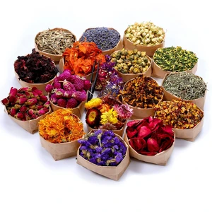 16 Bags Dried Flowers,100% Natural Dried Flowers Herbs Kit for Soap Making, DIY Candle Making,Bath - Include Rose Petals,Lavender,Don't Forget Me,Lilium,Jasmine,Rosebudsand More 16 Bags Dried Flowers,100% Natural Dried Flowers Herbs Kit for Soap Making, DIY Candle Making,Bath - Include Rose Petals,Lavender,Don't Forget Me,Lilium,Jasmine,Rosebudsand More