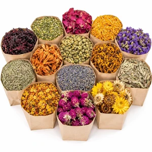 14 Bags Dried Herbs Kit - Dried Flower Botanicals Bulk for DIY Crafts | Dry Flowers Herbal Craft Set for Soap Candle Perfume Bath Bombs, Resin Jewelry, Fragrance Sachet DIY & Witchcraft Supplies 14 Bags Dried Herbs Kit - Dried Flower Botanicals Bulk for DIY Crafts | Dry Flowers Herbal Craft Set for Soap Candle Perfume Bath Bombs, Resin Jewelry, Fragrance Sachet DIY & Witchcraft Supplies