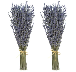 Dried Lavender 2 Bunches 100% Fresh Natural Purple Bouquet Flowers for Bathroom Photo Props Crafts Decoration, 15-17" for Shower Weeding Vase Decor, Home Fragrance(200-220 Stems(100g/3.5oz Total)) Dried Lavender 2 Bunches 100% Fresh Natural Purple Bouquet Flowers for Bathroom Photo Props Crafts Decoration, 15-17" for Shower Weeding Vase Decor, Home Fragrance(200-220 Stems(100g/3.5oz Total))