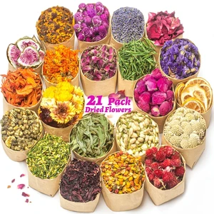 Dried Flowers, 21 Bags 100% Natural Dry Flower Herbs Kit for Crafts | For Soap, DIY Candle, Baths and Resin Jewelry Making, Includes Lavender, Don't Forget Me, Lily, Rose Petals, Jasmine and More Dried Flowers, 21 Bags 100% Natural Dry Flower Herbs Kit for Crafts | For Soap, DIY Candle, Baths and Resin Jewelry Making, Includes Lavender, Don't Forget Me, Lily, Rose Petals, Jasmine and More