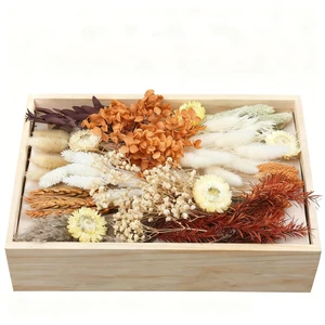 DIY Dried Flower Set, Bulk Dried Flowers Bouquet, Dried Flower Vase Arrangement, Autumn Decoration,Dried Flowers with Stems. (Fall) DIY Dried Flower Set, Bulk Dried Flowers Bouquet, Dried Flower Vase Arrangement, Autumn Decoration,Dried Flowers with Stems. (Fall)