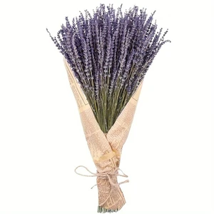 Dried Lavender Flowers,100+ Dried Lavender Stems for Vase,Dry Lavender | Dried Lavendar, Lavender Dried Flowers Bouquet for Vase, Dried Lavender Bundles, Lavender Sprigs, Dried Flower with Stem Dried Lavender Flowers,100+ Dried Lavender Stems for Vase,Dry Lavender | Dried Lavendar, Lavender Dried Flowers Bouquet for Vase, Dried Lavender Bundles, Lavender Sprigs, Dried Flower with Stem