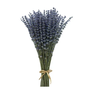 Dried Lavender Flowers Bundles 200 Stems Dry Lavender Bunch for Home Decor, Crafts, Wedding Bouquets Dried Lavender Flowers Bundles 200 Stems Dry Lavender Bunch for Home Decor, Crafts, Wedding Bouquets