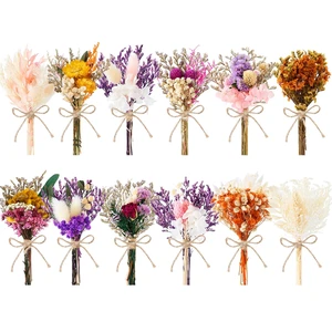 12/24 PCS Charming Mini Dried Flowers Bouquet for Vase | Various Dried Wildflowers with Stems Mini Handmade Wildflowers Natural Real Flowers Bulk Flowers Craft (Blossoms, 12 PCS) 12/24 PCS Charming Mini Dried Flowers Bouquet for Vase | Various Dried Wildflowers with Stems Mini Handmade Wildflowers Natural Real Flowers Bulk Flowers Craft (Blossoms, 12 PCS)