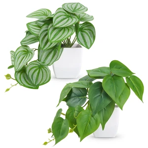 2Pcs Small Fake Plants Indoor for Shelves and Bathroom Decor | Mini Artificial Plants Indoor with tropical greenery and trailing leaves for office desk, tabletops and bookshelf decor 2Pcs Small Fake Plants Indoor for Shelves and Bathroom Decor | Mini Artificial Plants Indoor with tropical greenery and trailing leaves for office desk, tabletops and bookshelf decor