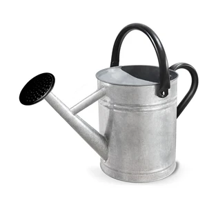 Metal Watering Can with Removable Spout, Galvanized Steel Plants Water Can for Women, Men and Kids' Outdoor or Indoor Gardening - Nice Flower Watering Pot Gift & Decoration (Zinc, 0.6 Gallon) Metal Watering Can with Removable Spout, Galvanized Steel Plants Water Can for Women, Men and Kids' Outdoor or Indoor Gardening - Nice Flower Watering Pot Gift & Decoration (Zinc, 0.6 Gallon)