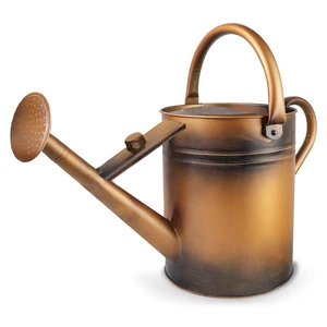 1 Gallon Metal Watering Can with Removable Spout, Nice Galvanized Steel Water Can for Indoor and Outdoor Plants (House Plants) 1 Gallon Metal Watering Can with Removable Spout, Nice Galvanized Steel Water Can for Indoor and Outdoor Plants (House Plants)